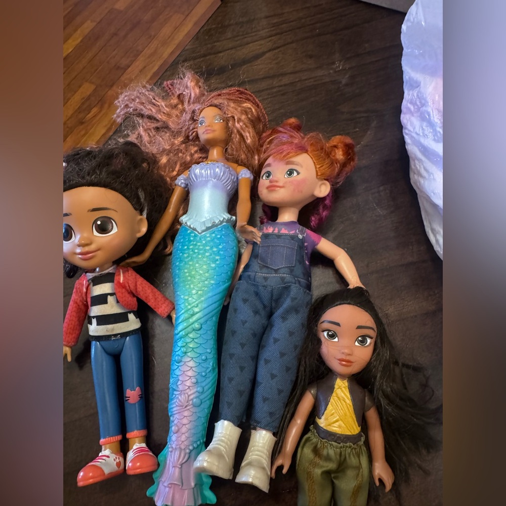 The little mermaid doll , Gabby dollhouse doll , & Raya Doll